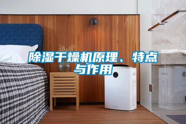 除濕干燥機原理、特點與作用