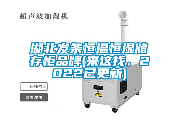 湖北發條恒溫恒濕儲存柜品牌(來這找，2022已更新)
