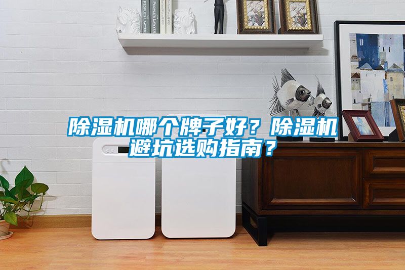除濕機哪個牌子好？除濕機避坑選購指南？