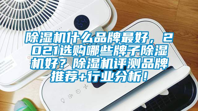 除濕機什么品牌最好，2021選購哪些牌子除濕機好？除濕機評測品牌推薦+行業分析！