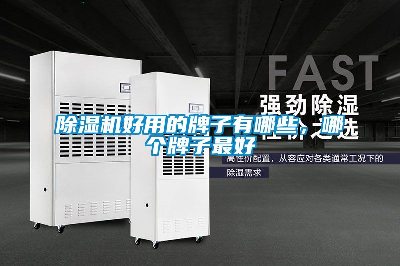 除濕機好用的牌子有哪些，哪個牌子最好