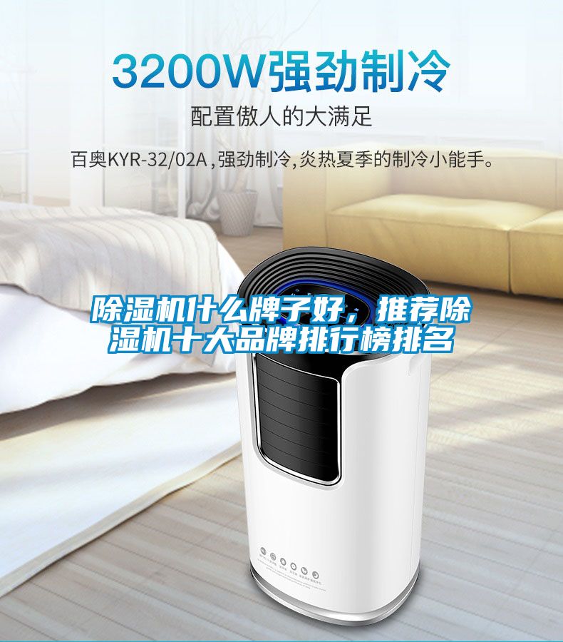 除濕機什么牌子好，推薦除濕機十大品牌排行榜排名