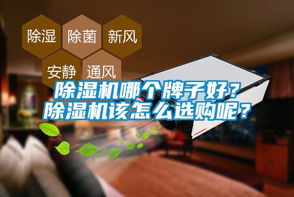 除濕機哪個牌子好？除濕機該怎么選購呢？