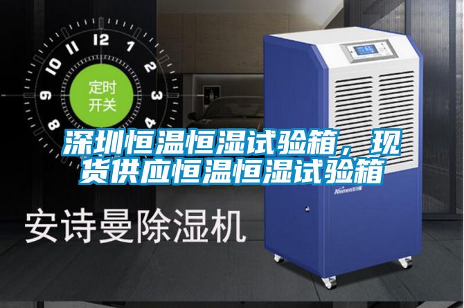深圳恒溫恒濕試驗箱，現貨供應恒溫恒濕試驗箱