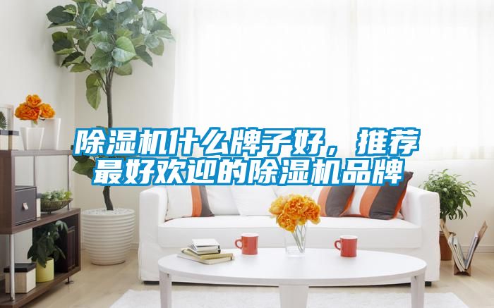 除濕機什么牌子好，推薦最好歡迎的除濕機品牌