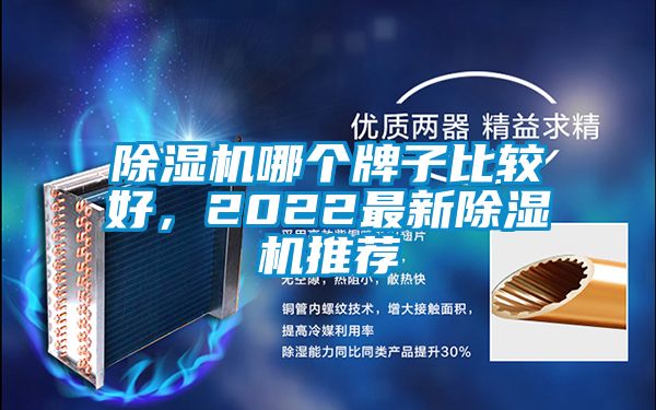 除濕機哪個牌子比較好，2022最新除濕機推薦