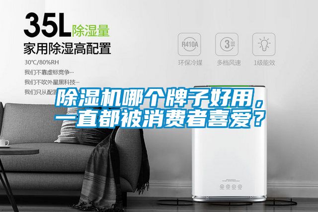 除濕機哪個牌子好用，一直都被消費者喜愛？
