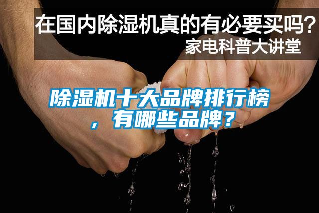 除濕機十大品牌排行榜，有哪些品牌？