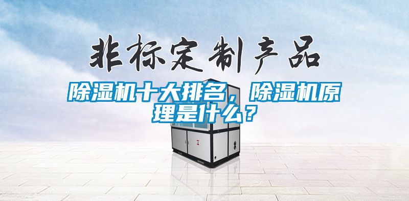 除濕機十大排名，除濕機原理是什么？