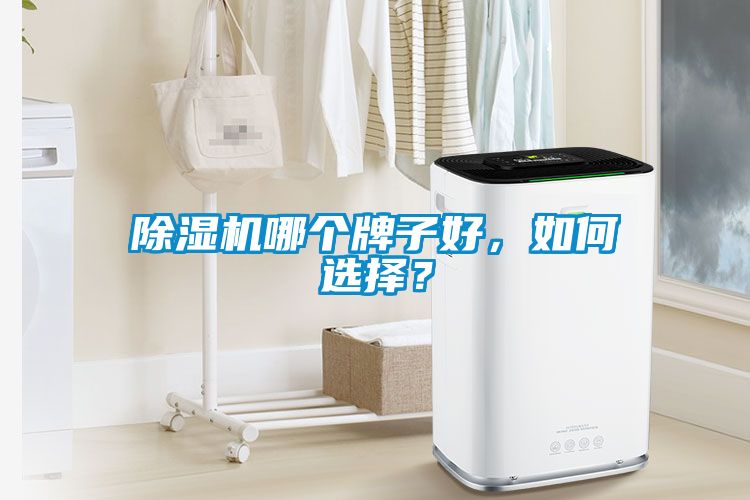 除濕機哪個牌子好，如何選擇？