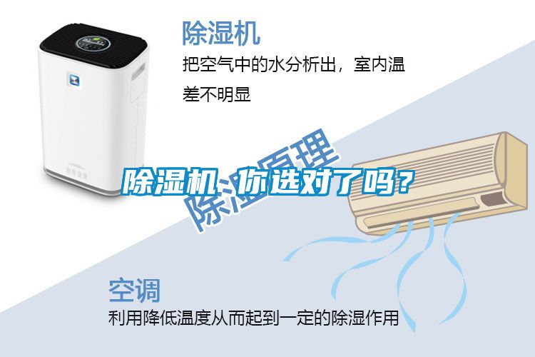 除濕機 你選對了嗎？