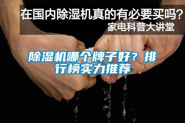 除濕機哪個牌子好？排行榜實力推薦