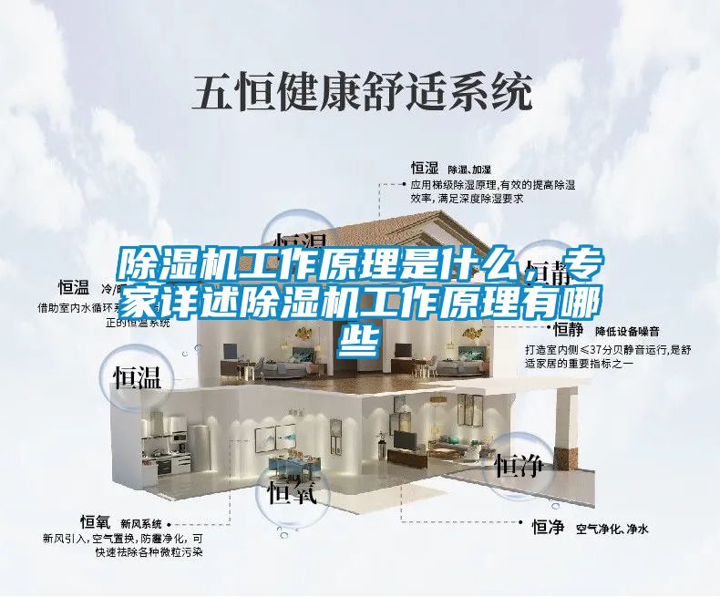 除濕機工作原理是什么，專家詳述除濕機工作原理有哪些