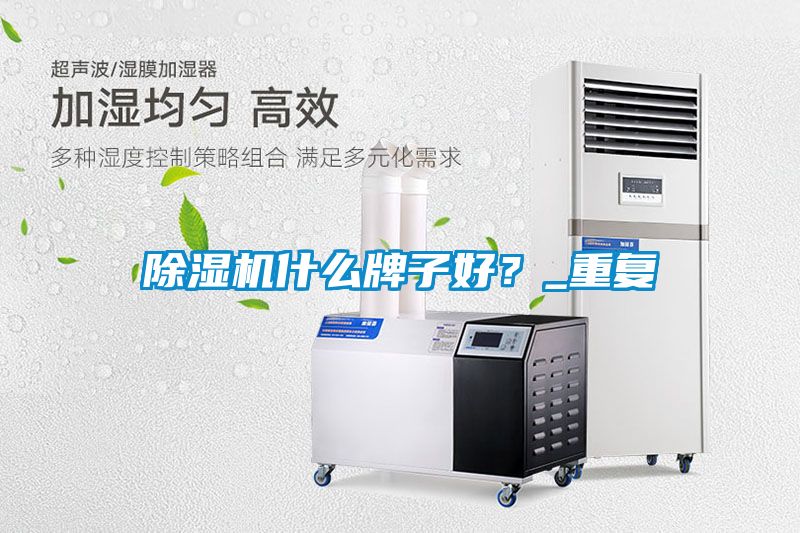 除濕機什么牌子好？_重復