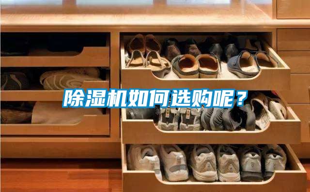 除濕機如何選購呢？