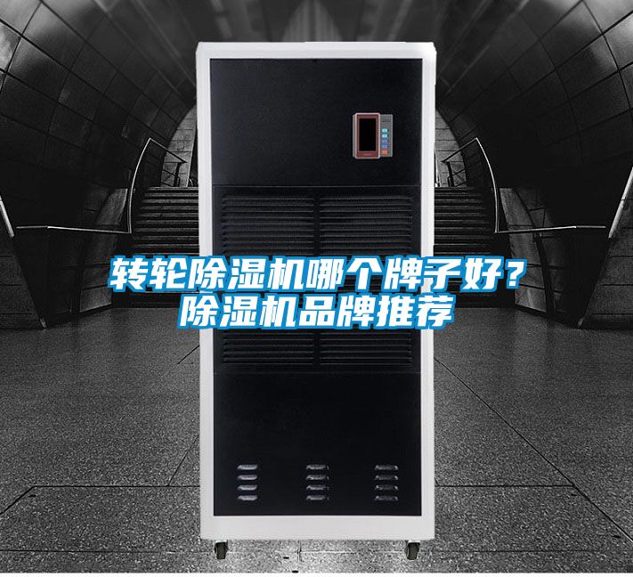 轉輪除濕機哪個牌子好？除濕機品牌推薦