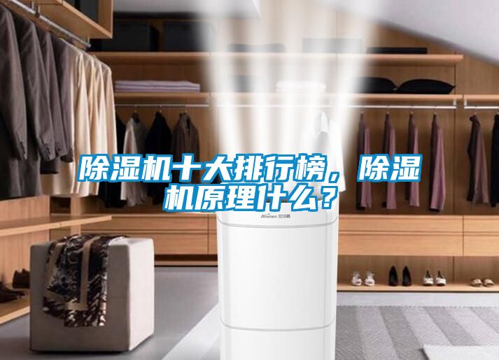 除濕機十大排行榜，除濕機原理什么？