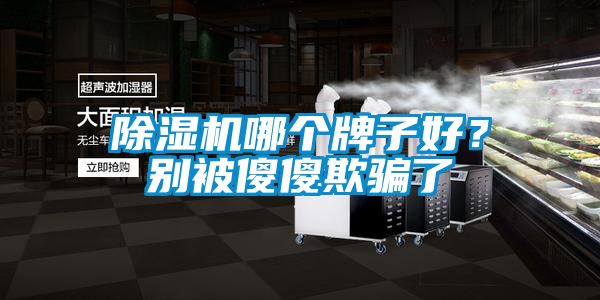 除濕機哪個牌子好？別被傻傻欺騙了