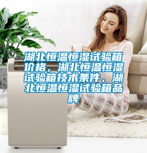 湖北恒溫恒濕試驗箱價格，湖北恒溫恒濕試驗箱技術條件，湖北恒溫恒濕試驗箱品牌