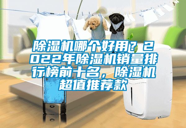除濕機哪個好用？2022年除濕機銷量排行榜前十名，除濕機超值推薦款
