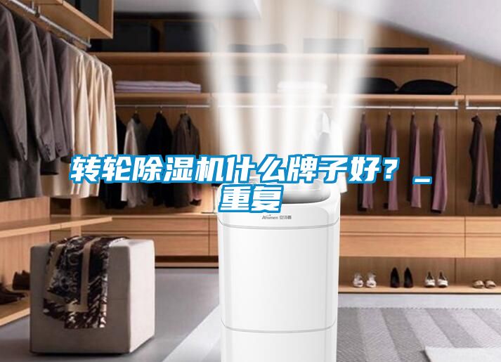 轉輪除濕機什么牌子好？_重復