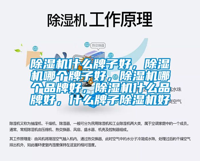 除濕機什么牌子好，除濕機哪個牌子好，除濕機哪個品牌好，除濕機什么品牌好，什么牌子除濕機好