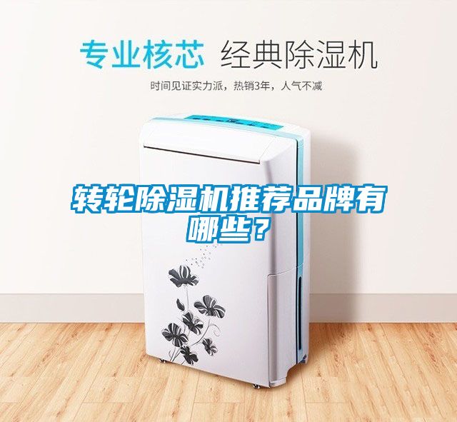 轉輪除濕機推薦品牌有哪些？