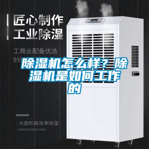 除濕機怎么樣？除濕機是如何工作的
