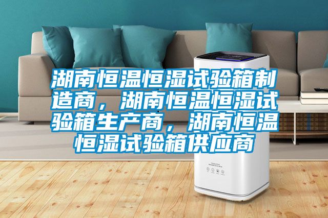 湖南恒溫恒濕試驗箱制造商，湖南恒溫恒濕試驗箱生產商，湖南恒溫恒濕試驗箱供應商
