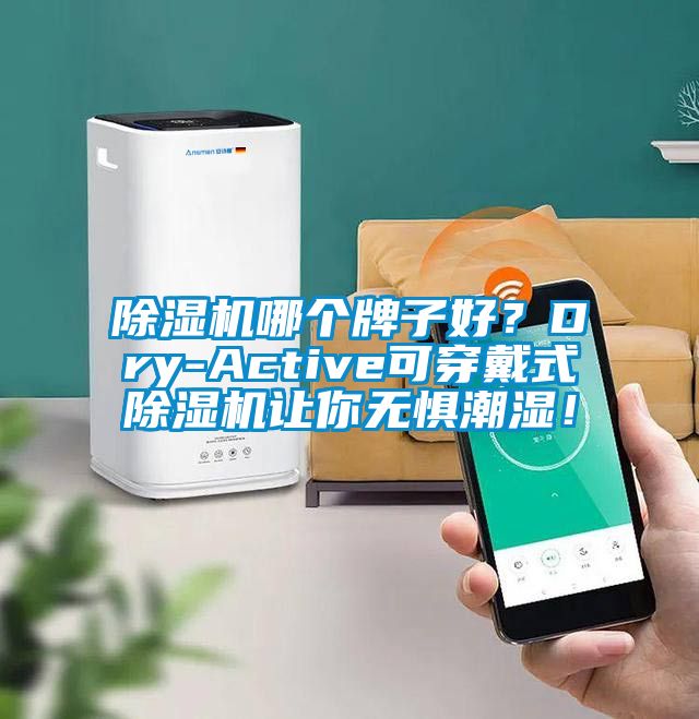 除濕機哪個牌子好？Dry-Active可穿戴式除濕機讓你無懼潮濕！