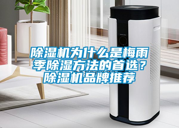 除濕機為什么是梅雨季除濕方法的首選？除濕機品牌推薦