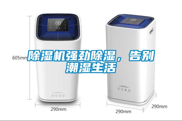 除濕機強勁除濕，告別潮濕生活