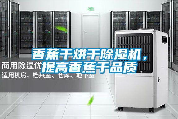 香蕉干烘干除濕機，提高香蕉干品質