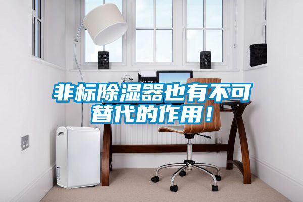 非標除濕器也有不可替代的作用！