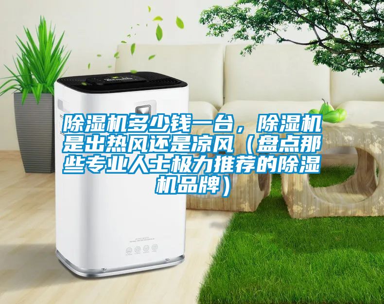 除濕機多少錢一臺，除濕機是出熱風還是涼風（盤點那些專業人士極力推薦的除濕機品牌）