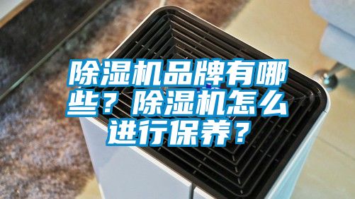 除濕機品牌有哪些？除濕機怎么進行保養？