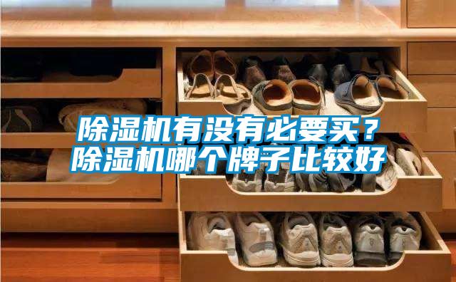 除濕機有沒有必要買？除濕機哪個牌子比較好