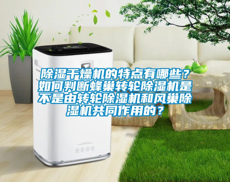 除濕干燥機的特點有哪些？如何判斷蜂巢轉輪除濕機是不是由轉輪除濕機和風巢除濕機共同作用的？