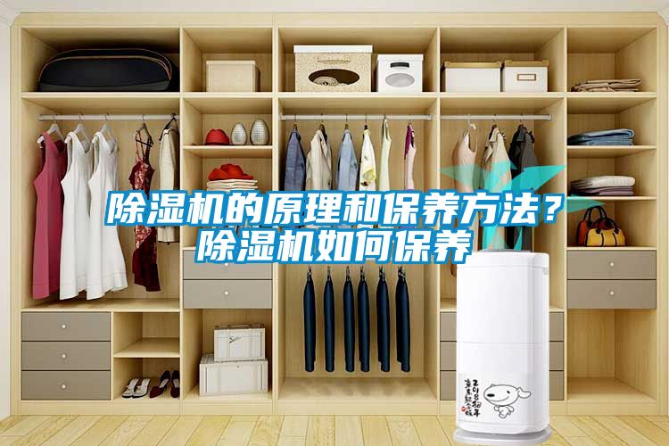 除濕機的原理和保養方法？除濕機如何保養