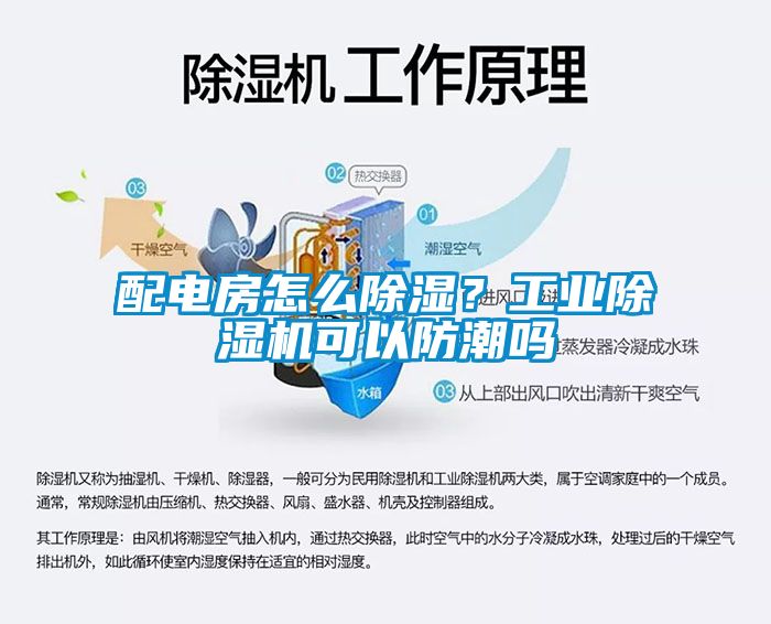 配電房怎么除濕？工業除濕機可以防潮嗎