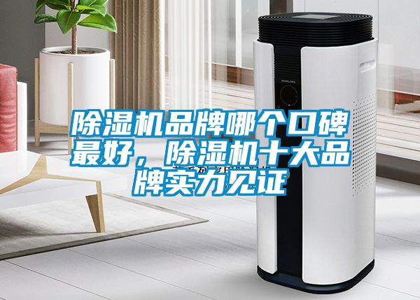 除濕機品牌哪個口碑最好，除濕機十大品牌實力見證