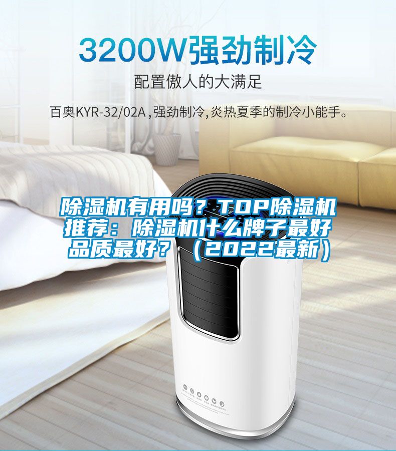 除濕機有用嗎？TOP除濕機推薦：除濕機什么牌子最好品質最好？（2022最新）