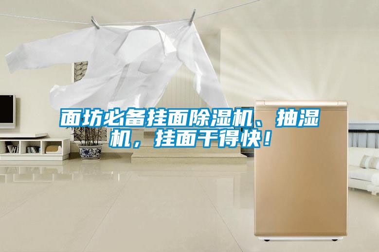 面坊必備掛面除濕機、抽濕機，掛面干得快！