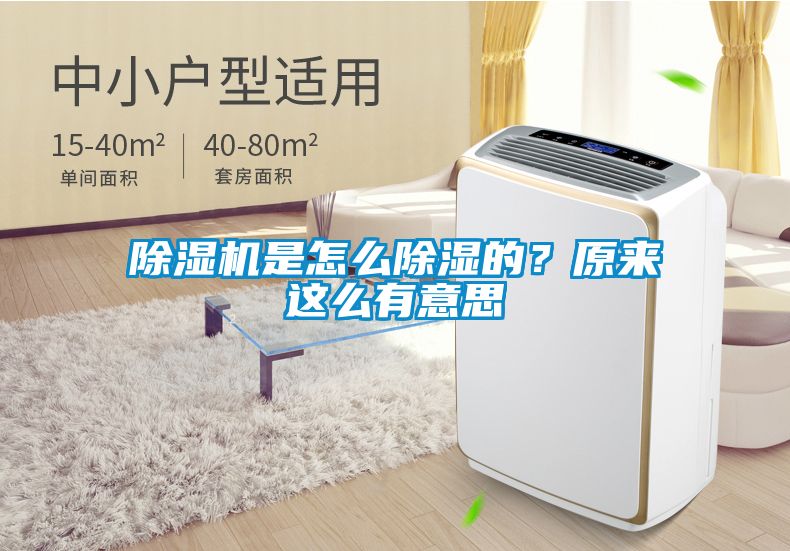 除濕機是怎么除濕的？原來這么有意思