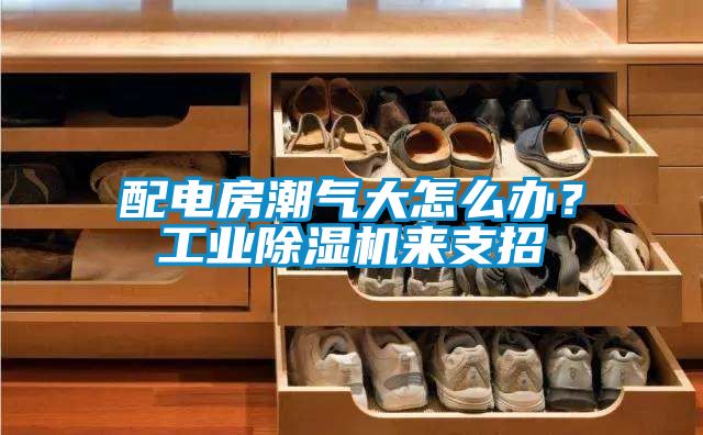 配電房潮氣大怎么辦？工業除濕機來支招