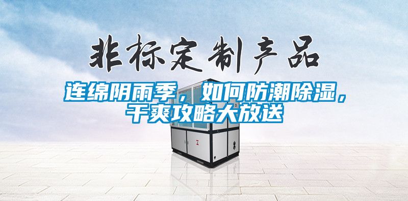 連綿陰雨季，如何防潮除濕，干爽攻略大放送