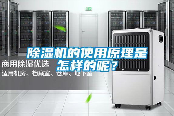 除濕機的使用原理是怎樣的呢？