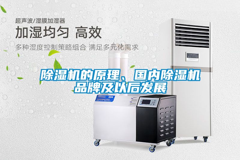除濕機的原理、國內除濕機品牌及以后發展
