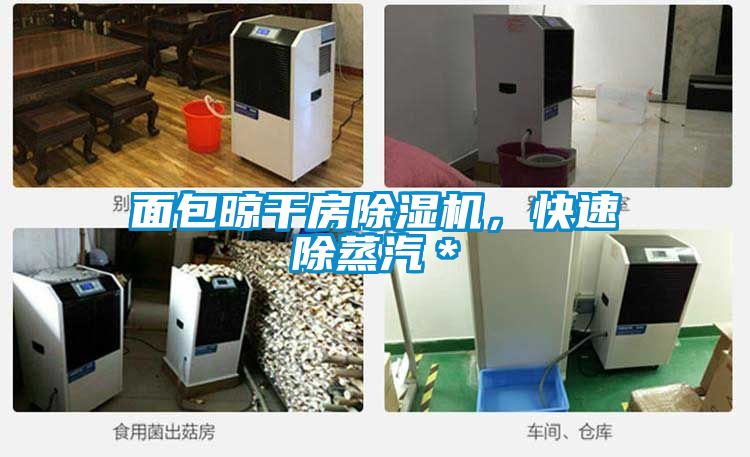 面包晾干房除濕機，快速除蒸汽＊