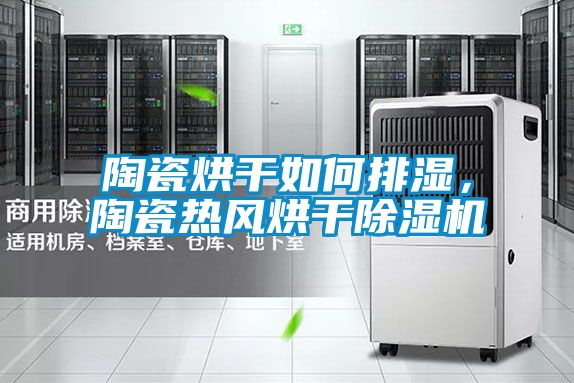 陶瓷烘干如何排濕，陶瓷熱風烘干除濕機